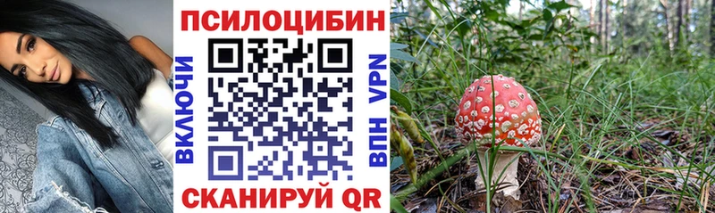 kraken маркетплейс  Чегем  Псилоцибиновые грибы MAGIC MUSHROOMS 